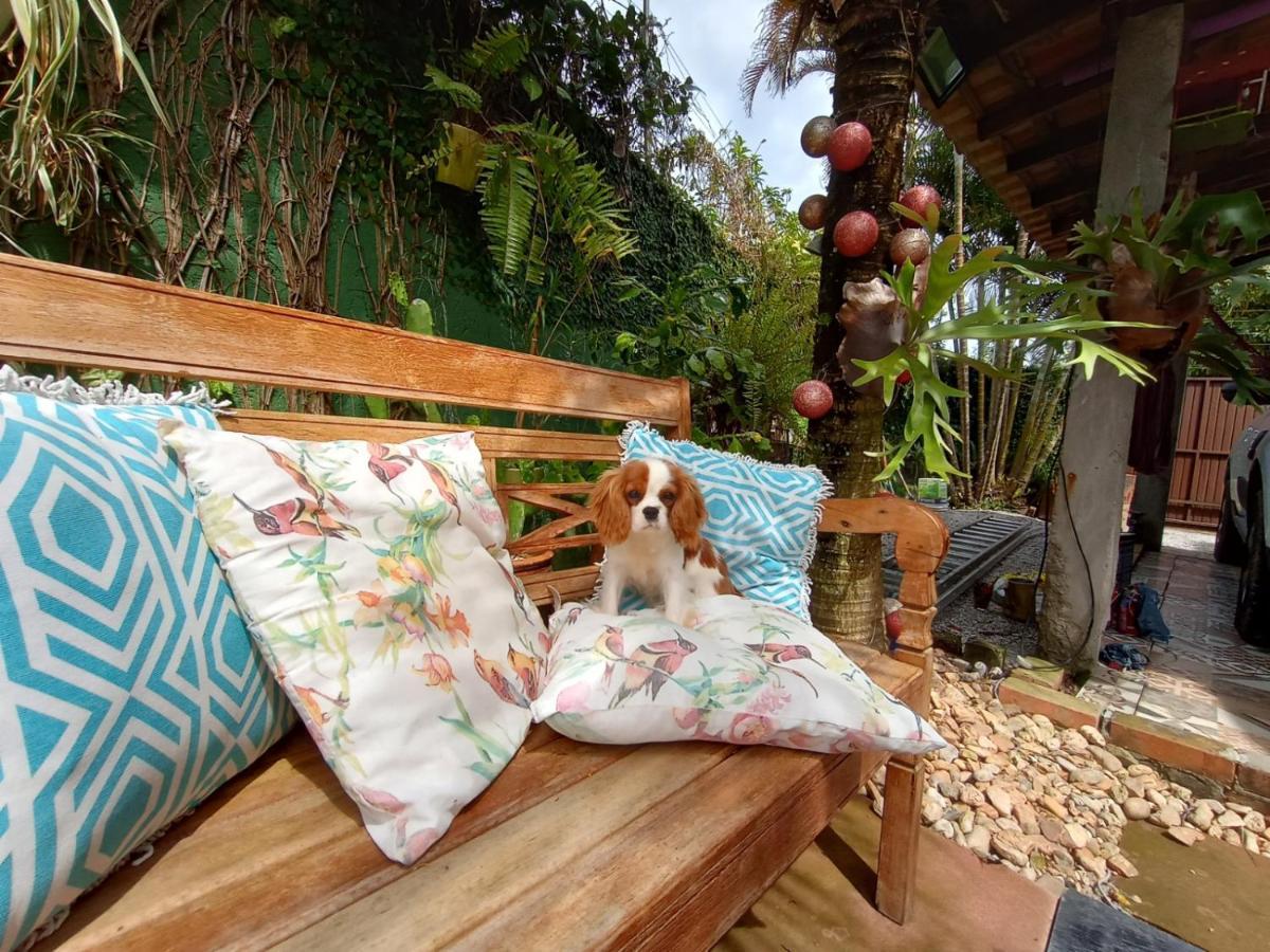 Pousada Zaua Guest House Florianópolis Dış mekan fotoğraf