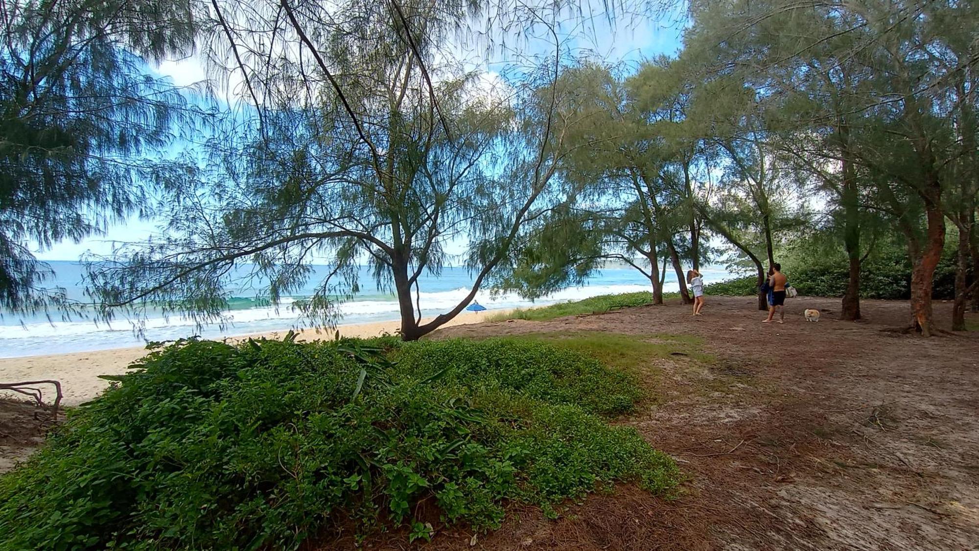 Pousada Zaua Guest House Florianópolis Dış mekan fotoğraf