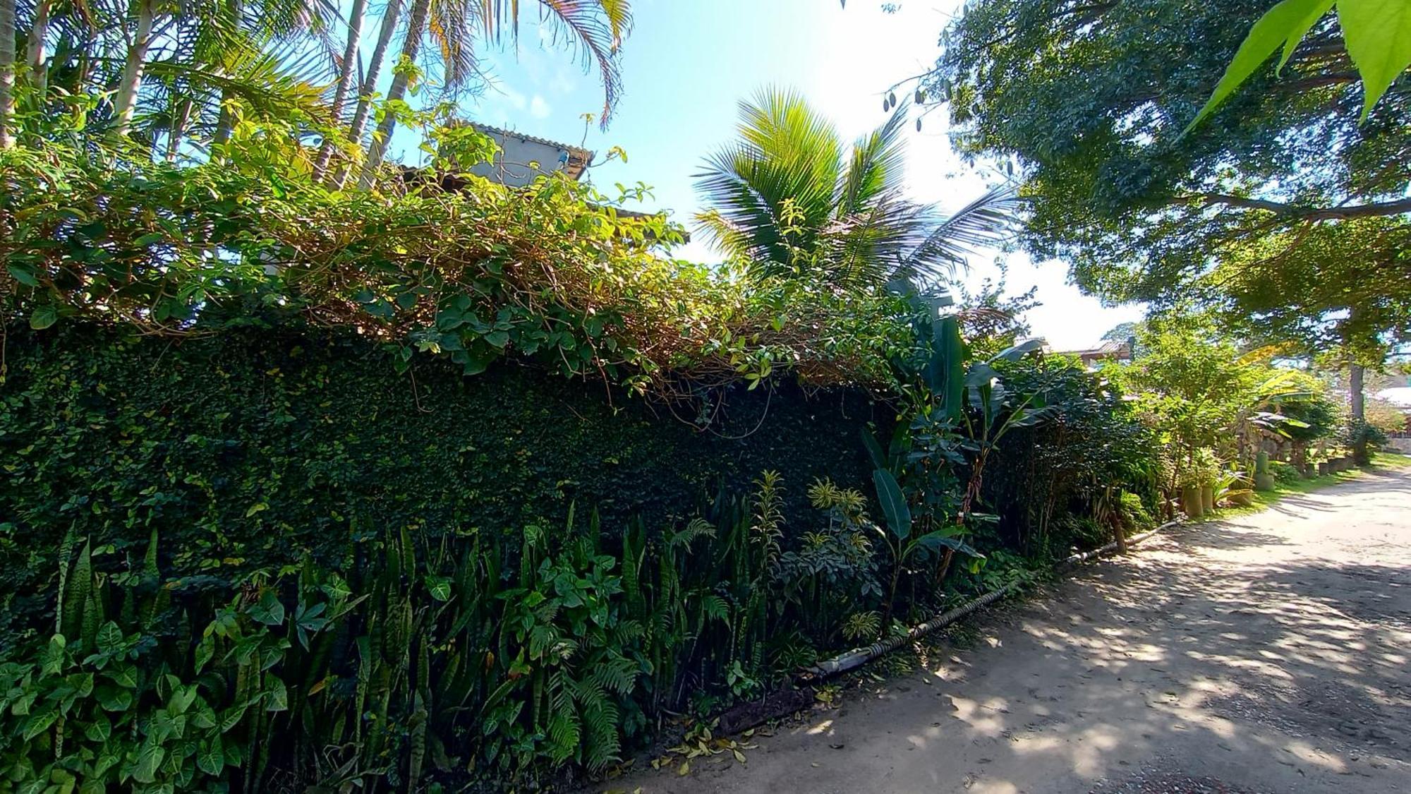 Pousada Zaua Guest House Florianópolis Dış mekan fotoğraf