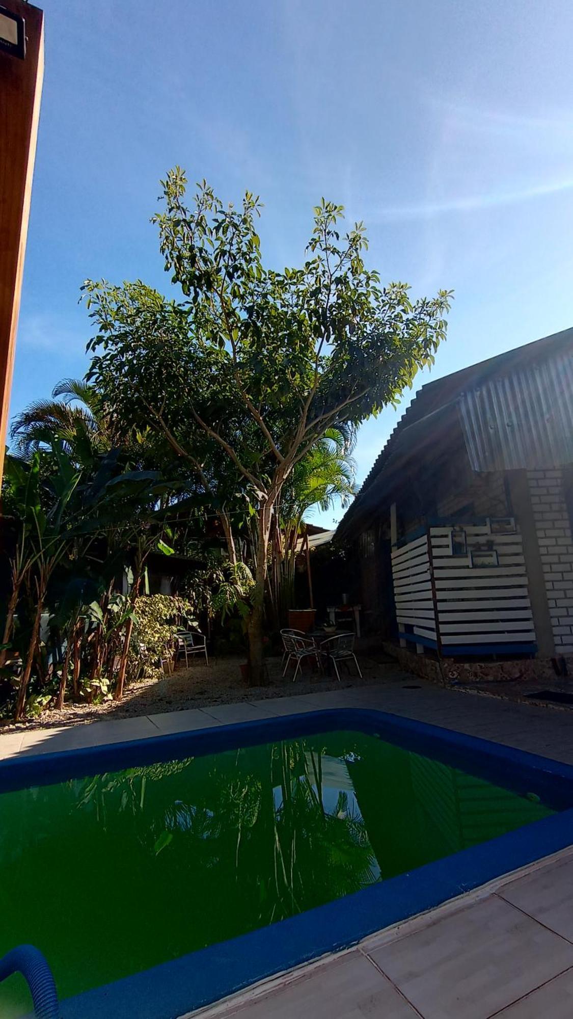Pousada Zaua Guest House Florianópolis Dış mekan fotoğraf