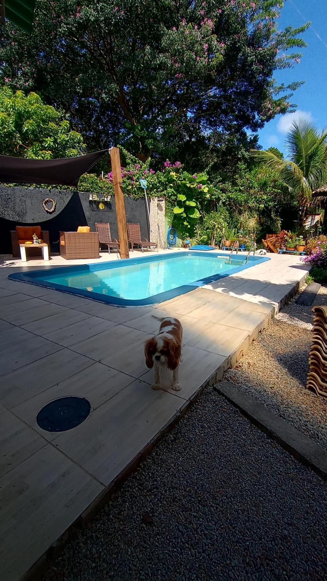 Pousada Zaua Guest House Florianópolis Dış mekan fotoğraf