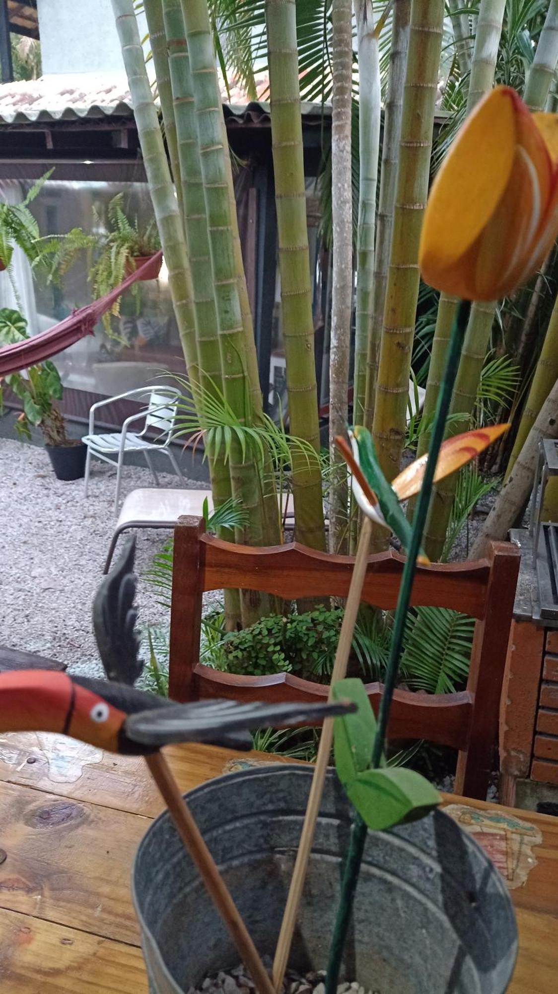 Pousada Zaua Guest House Florianópolis Dış mekan fotoğraf